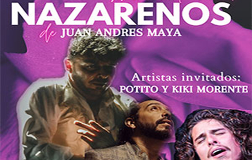 Imagen descriptiva del evento 'Nazarenos '